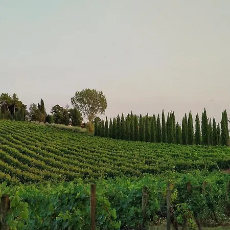 Nottola Montepulciano Stazione